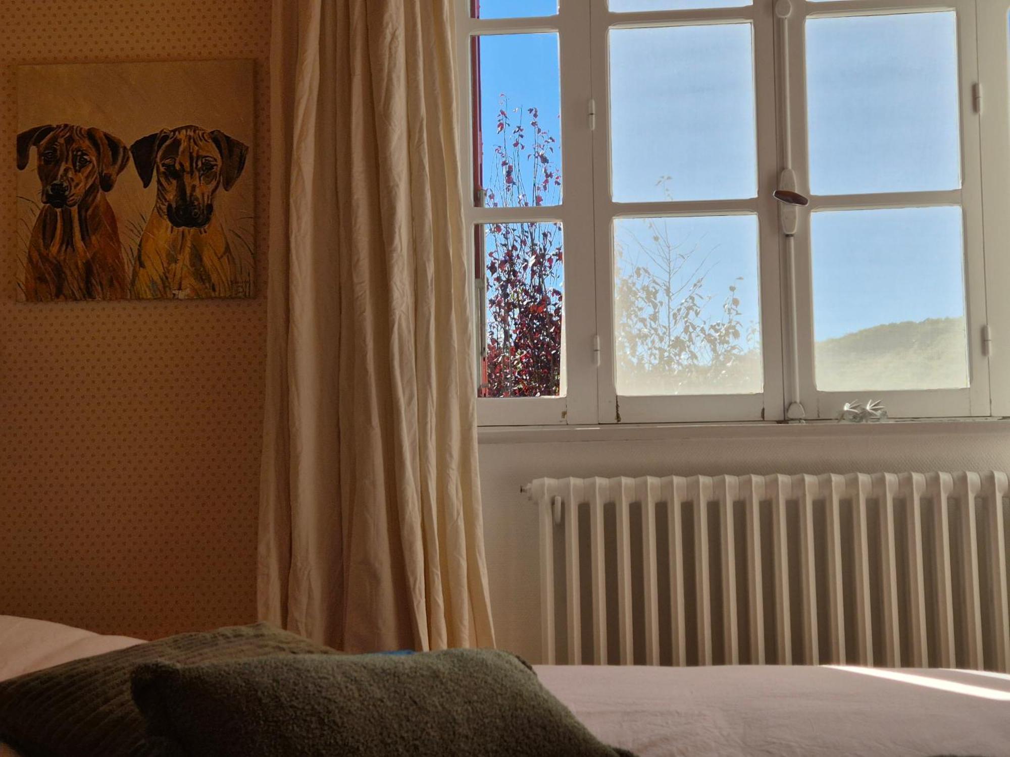 Maison La Vie De L'Aubrac - Gite Lo Bel Peis Saint-Symphorien-de-Thenieres Extérieur photo