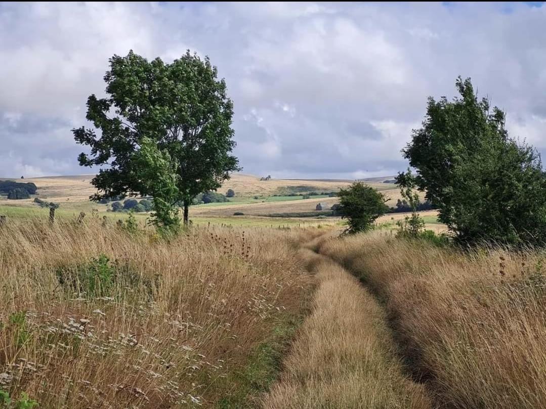 Maison La Vie De L'Aubrac - Gite Lo Bel Peis Saint-Symphorien-de-Thenieres Extérieur photo